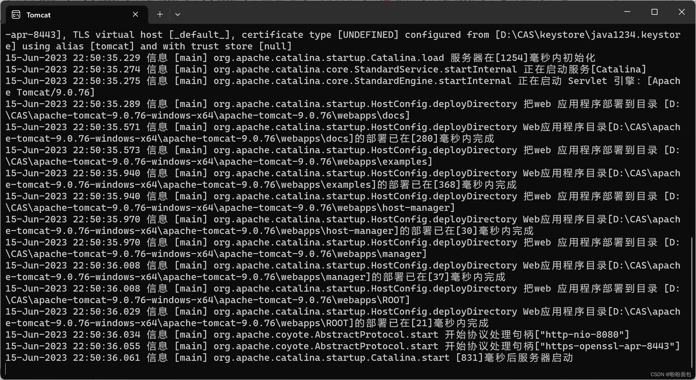 实战springboot+CAS单点登录系统,第12张