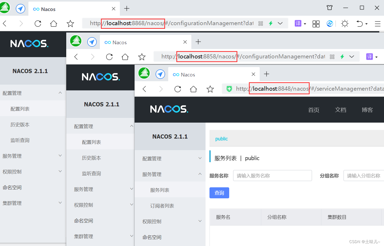 Nacos的安装与使用（SpringCloud）,在这里插入图片描述,第17张