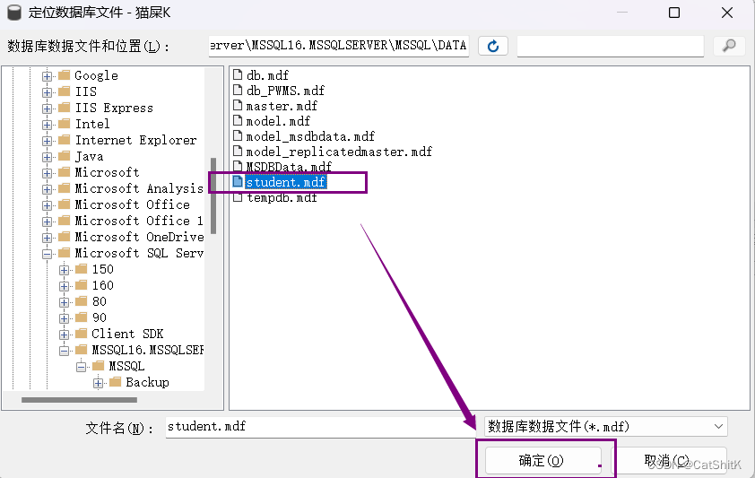 完美解决Window11附加表时: Microsoft SQL Server Management Studio-附加数据库时出错。有关详细信息，请单击“消息”列中,第4张