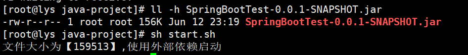 1秒将本地SpringBoot项目jar包部署到Linux环境（看这一篇就够了）,image-20230612231933807,第18张