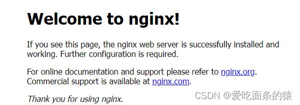 Linux系统下安装配置 Nginx 超详细图文教程,第9张