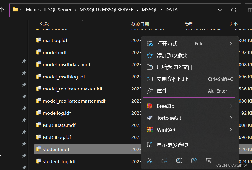 完美解决Window11附加表时: Microsoft SQL Server Management Studio-附加数据库时出错。有关详细信息，请单击“消息”列中,第7张