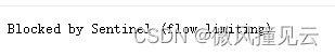 【分布式流控组件 Sentinel 快速入门】——图文详解操作流程,在这里插入图片描述,第23张