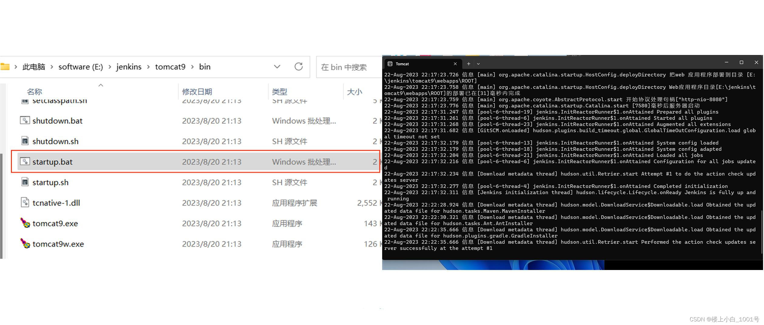 Tomcat + Jenkins 之安装与配置（window11）,在这里插入图片描述,第20张