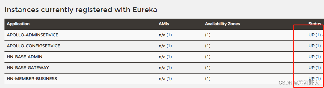 JAVA开发（分布式部署微服务注册到Eureka出现registration status: 204错误）,第2张