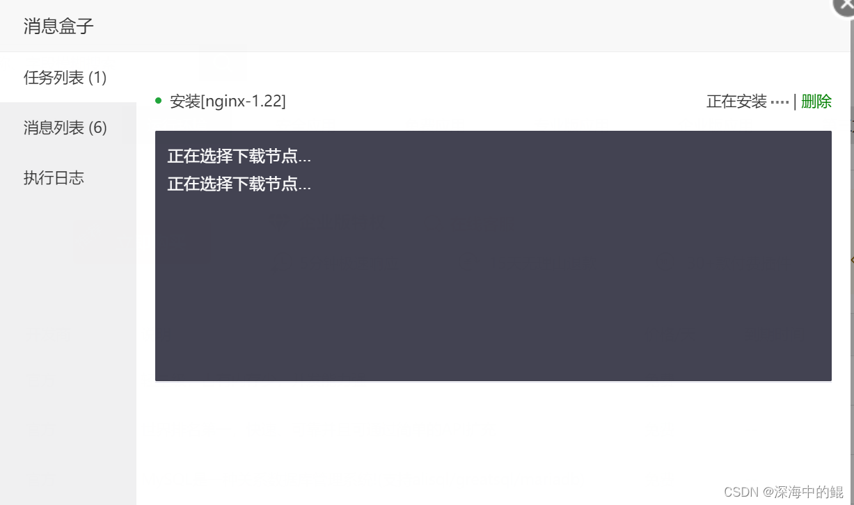 ERROR：检测到配置文件有错误，请先排除后再操作，binsh: wwwservernginxsbinnginx: No such file or directory,第2张