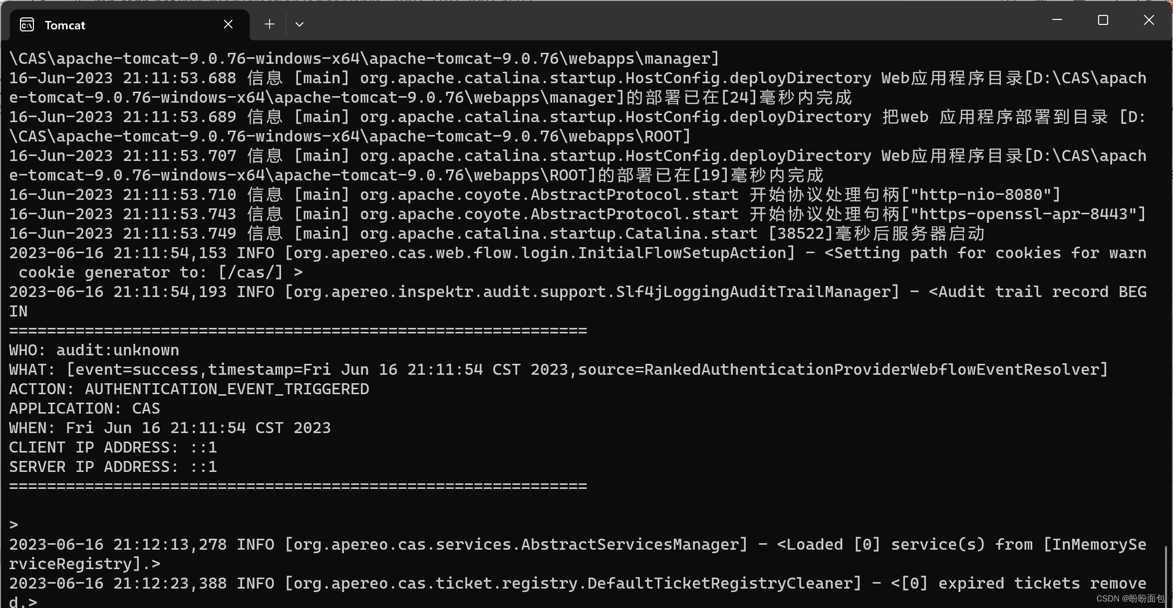 实战springboot+CAS单点登录系统,第17张