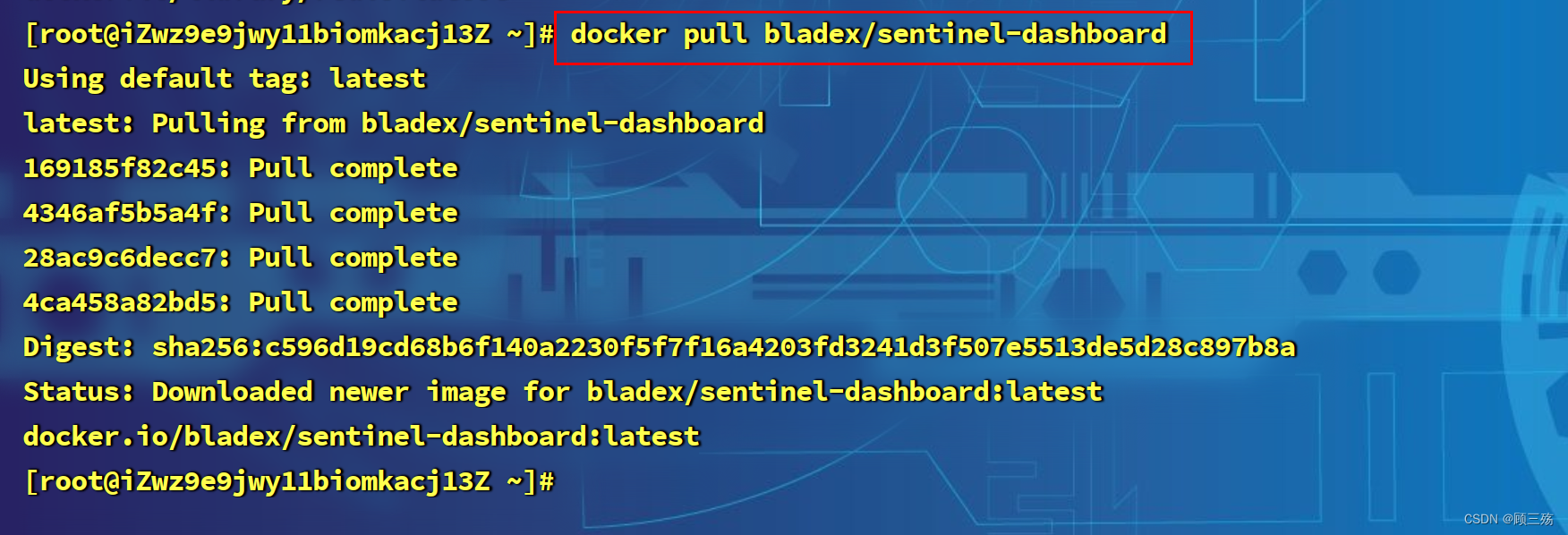 【Linux】Centos 8 服务器部署：docker 安装 jdk、nginx、nacos、redis、Sentinel Dashboard,第7张