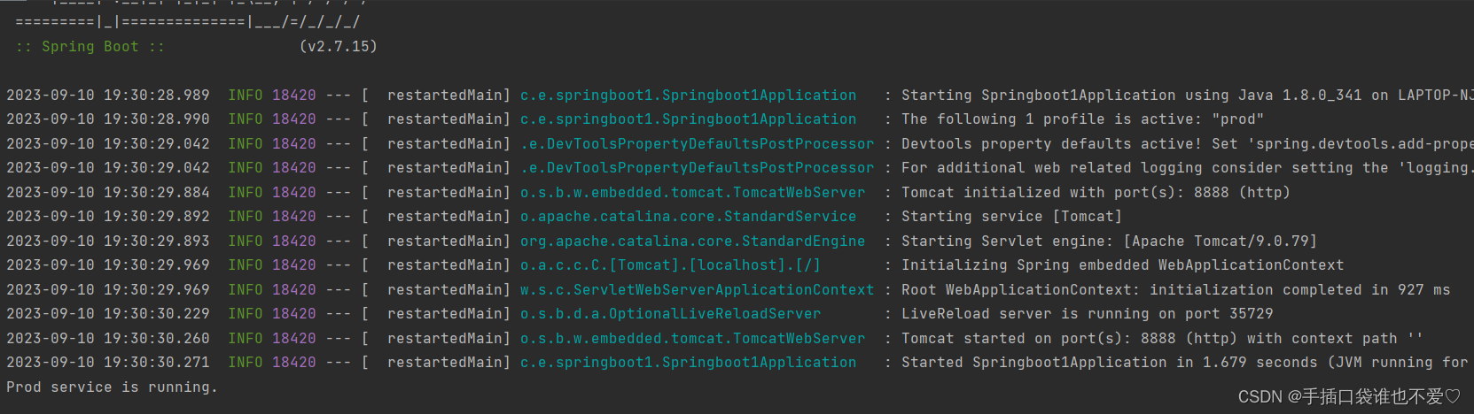 解析Spring Boot中的Profile：配置文件与代码的双重掌控,在这里插入图片描述,第6张