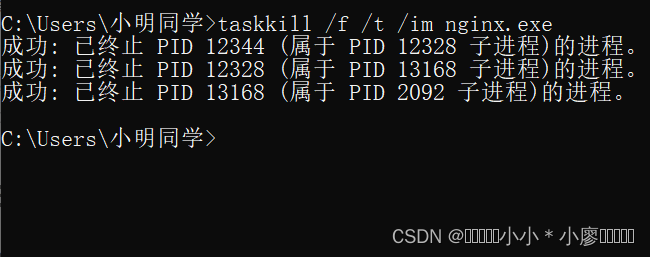 手把手教小白如何在Window系统下搭建Nginx服务器环境并部署前端项目,在这里插入图片描述,第4张