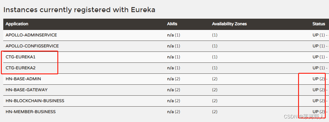 JAVA开发（分布式部署微服务注册到Eureka出现registration status: 204错误）,第5张