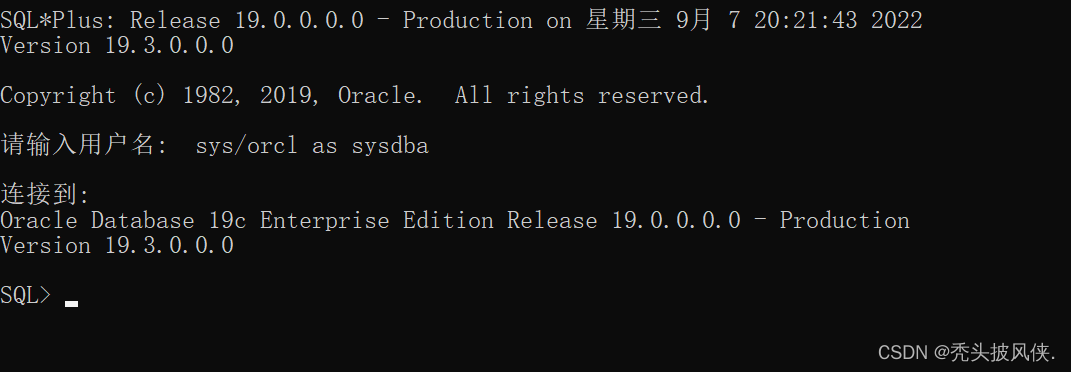 Oracle19c安装，基本配置教程（超详细）,第33张