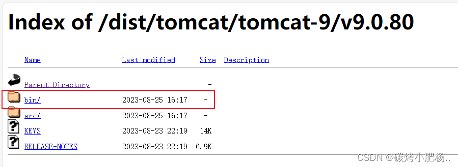 tomcat服务安装步骤以及详细配置教程,在这里插入图片描述,第4张