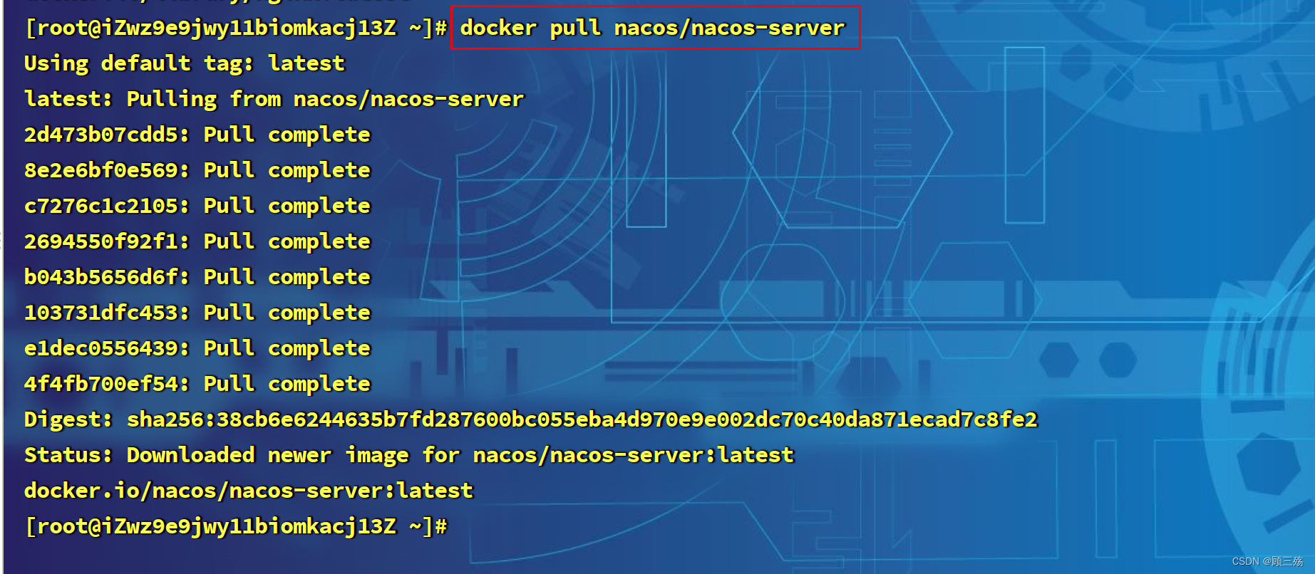 【Linux】Centos 8 服务器部署：docker 安装 jdk、nginx、nacos、redis、Sentinel Dashboard,第5张