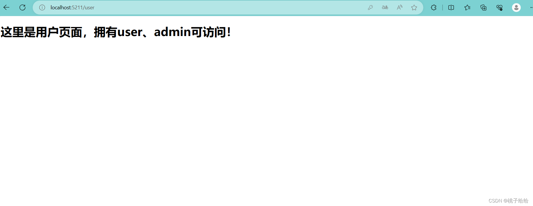 最详细的Keycloak教程（建议收藏）：Keycloak实现手机号、验证码登陆——（二）Keycloak与SpringBoot的集成,user-page,第22张