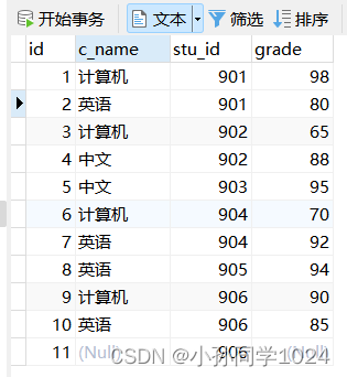 数据库系统原理及MySQL应用教程实验四MySQL数据库表数据的查询操作,第47张