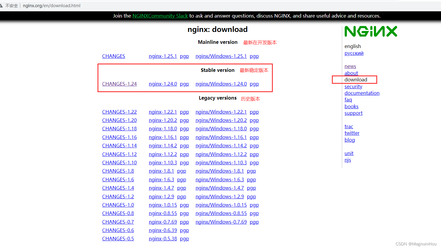 Windows11 环境下 Nginx 安装部署教程,在这里插入图片描述,第3张