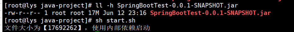 1秒将本地SpringBoot项目jar包部署到Linux环境（看这一篇就够了）,image-20230612231840376,第19张