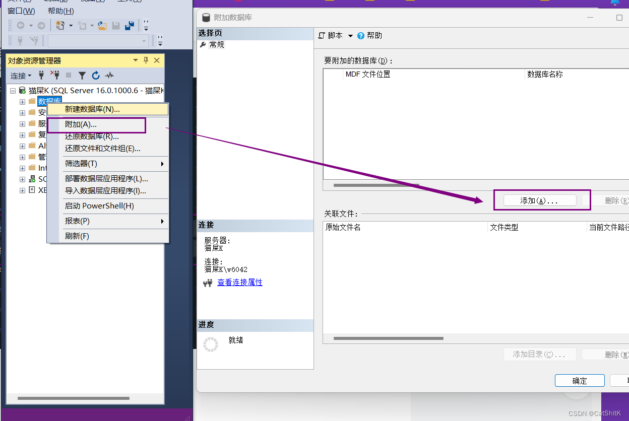 完美解决Window11附加表时: Microsoft SQL Server Management Studio-附加数据库时出错。有关详细信息，请单击“消息”列中,第3张