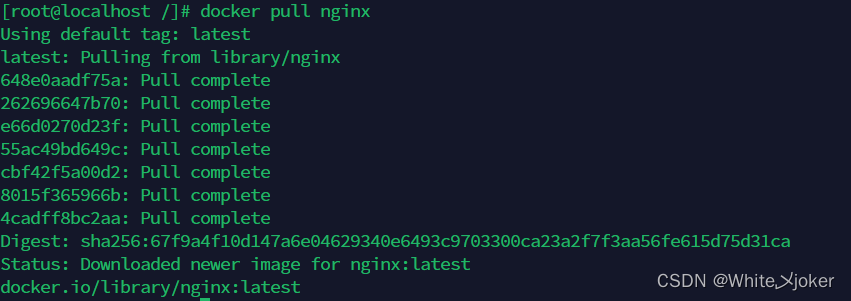 Nginx环境搭建以及Docker环境部署,第25张