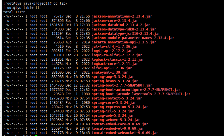 1秒将本地SpringBoot项目jar包部署到Linux环境（看这一篇就够了）,image-20221212234121085,第12张