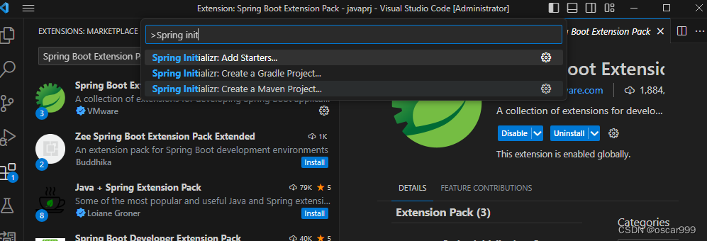 VS Code 开发 Spring Boot 类型的项目,在这里插入图片描述,第2张