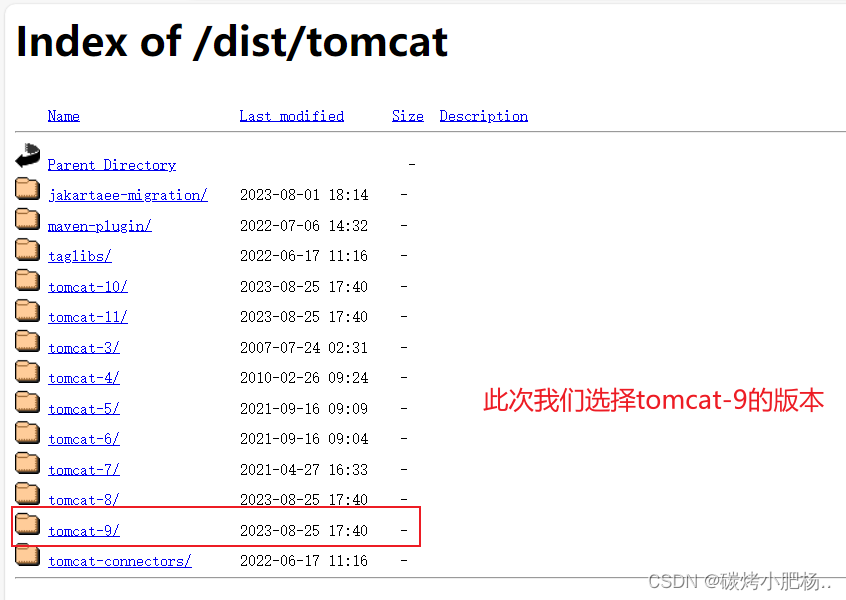 tomcat服务安装步骤以及详细配置教程,在这里插入图片描述,第2张