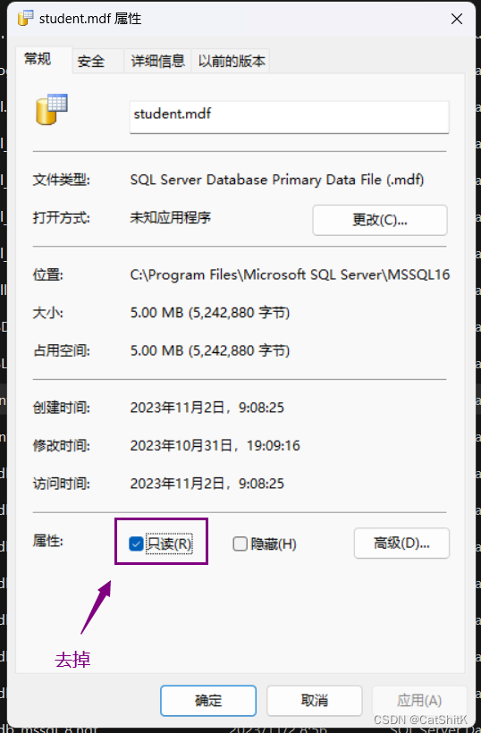 完美解决Window11附加表时: Microsoft SQL Server Management Studio-附加数据库时出错。有关详细信息，请单击“消息”列中,第8张